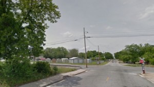 A tree blocks the pedestrian line of sight at the 14th Avenue West railroad crossing.
