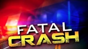 One Person Killed, Six Injured in Effingham County Highway 17 Accident.