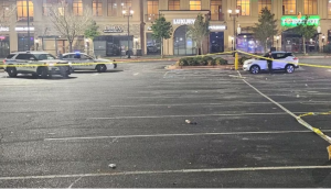 Elbert “Josh” Brown: Justice for Family? Fatally Injured in Duluth, GA Shopping Center Parking Lot Shooting.
